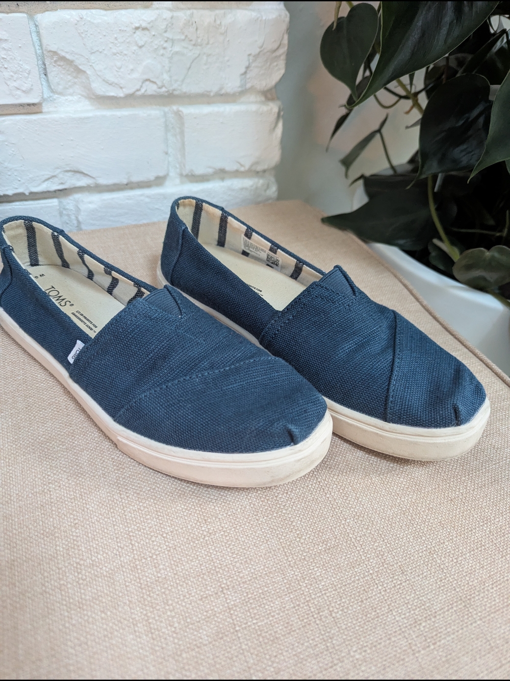 TOMS Classic Navy Canvas Slip-On Shoes